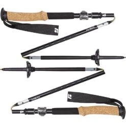 Black Diamond Alpine FLZ Trekking Poles -Camelbaked Store 0039364 alpine flz trekking poles