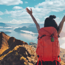 Global Satellite Communicator -Camelbaked Store 1227825 global satellite communicator