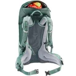 Deuter Futura 24 SL Hiking Backpack 20 Deuter Futura 24 SL Hiking Backpack -Camelbaked Store 1258481 futura 24 sl backpack forest jade